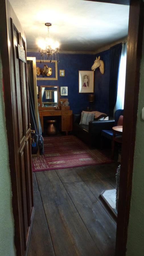 Decadent Art Club Apartment Cesky Krumlov Bagian luar foto